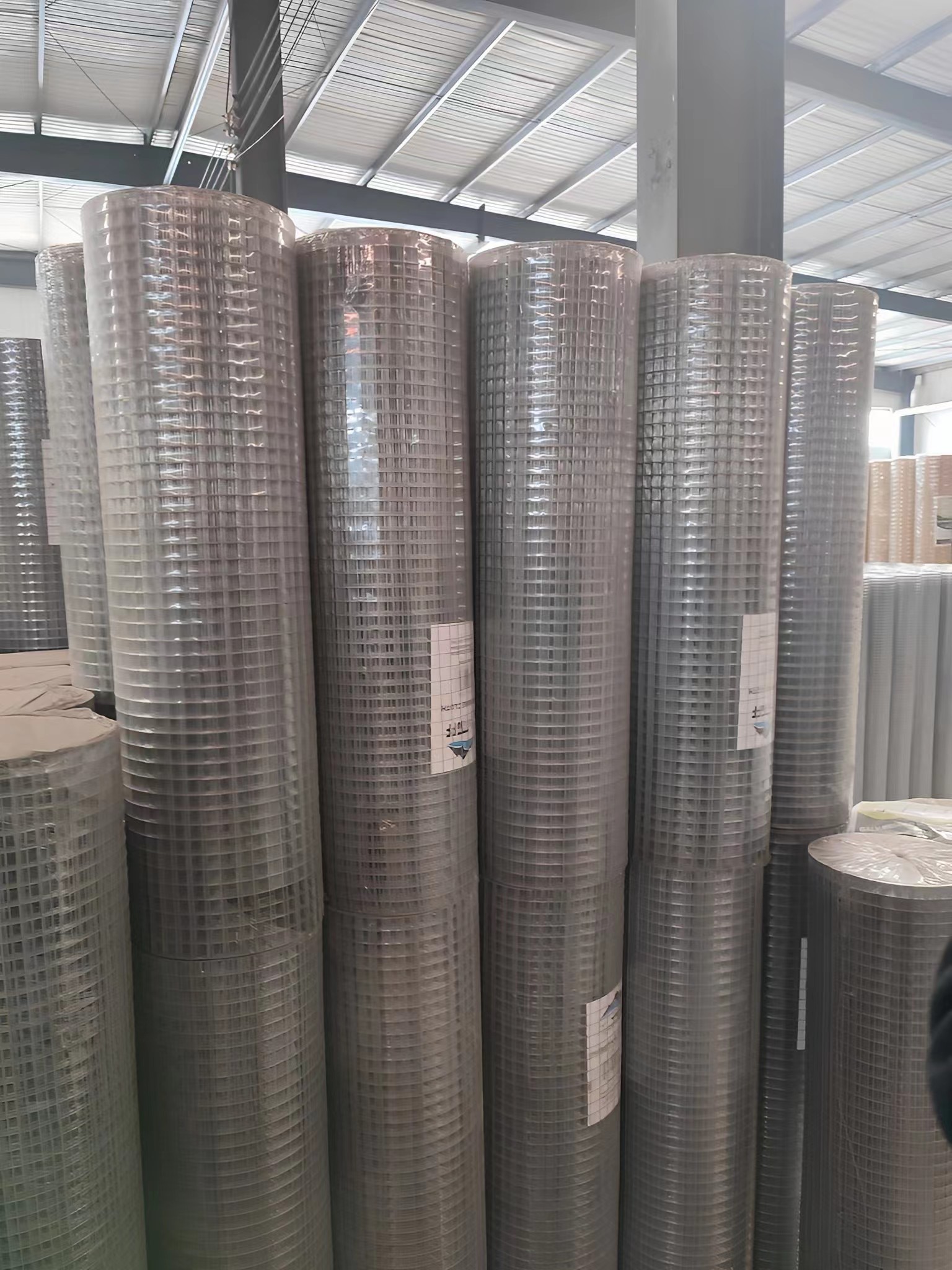 PVC Coated Welded Wire Mesh Roll Wire Mesh Fence For Farm