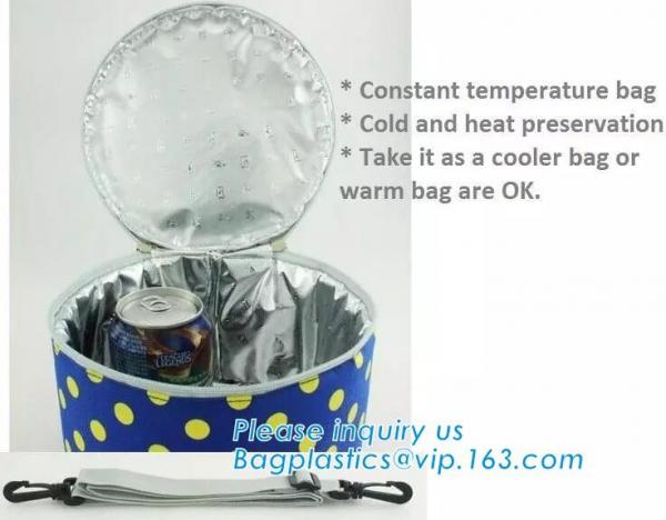 Aluminum Foil Insulated Cooler Bags Waterproof Folding Thermal Lunch Bag,Zip-Lock Grocery Handle Thermal Insulation Cool