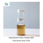 Plant Source Hydrolyzed Protein Powder 80% Free Amino Acid 75% Yellow Powder Cl