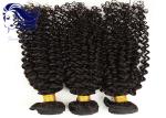 100 Virgin Brazilian Remy Hair Extensions / Virgin Brazilian Straight Hair