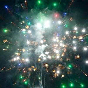 China Chinese Factory Wholesale Export Firework 16 Shots 200G Cake Fireworks Consumer Cake Fireworks 2025 For Celebration factory