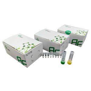 China Basic Nucleic Acid DNA Amplification Kit 48 Reactions 20mins on sale