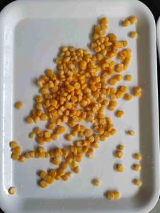 China 24 Months Shelf Life Vacuum Packed Corn With Protein 2.3 G factory