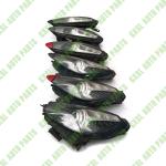 For Ferrari California Car Lamp Headlight Right With AFS OEM 251998