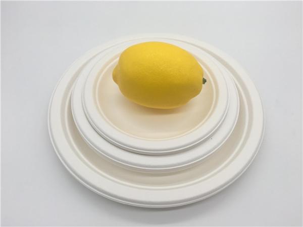 6 Inch Microwavable Party Bagasse Disposable Plates