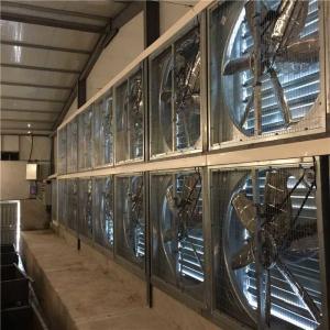 China High Efficiency Motor Poultry Farm Climate Control System For Greenhouse factory