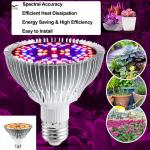 Indoor Plant Veg Flower Garden Greenhouse Succulent 50W Led Plant Lamp Full