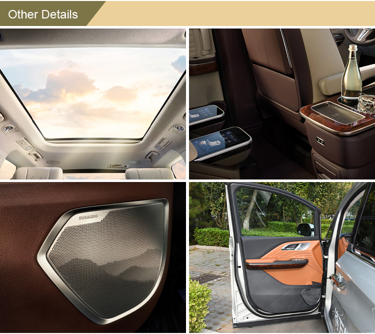 2023 Hongqi HQ9 2.0T 252HP Gasoline MPV The Ultimate Family Vehicle with Macpherson Front Suspension