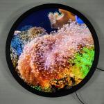 Quad-core Cortex-A53 Round Art Display Free Standing Digital Signage And