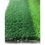 2*25m PP Natural Artificial Grass 12000 Dtex Multi Sports Turf