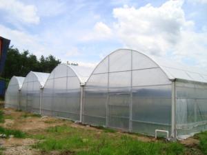 China Rainfall 140mm/H Large Green Houses , Dome Style Greenhouse Snow Load 0.45KN/㎡ factory