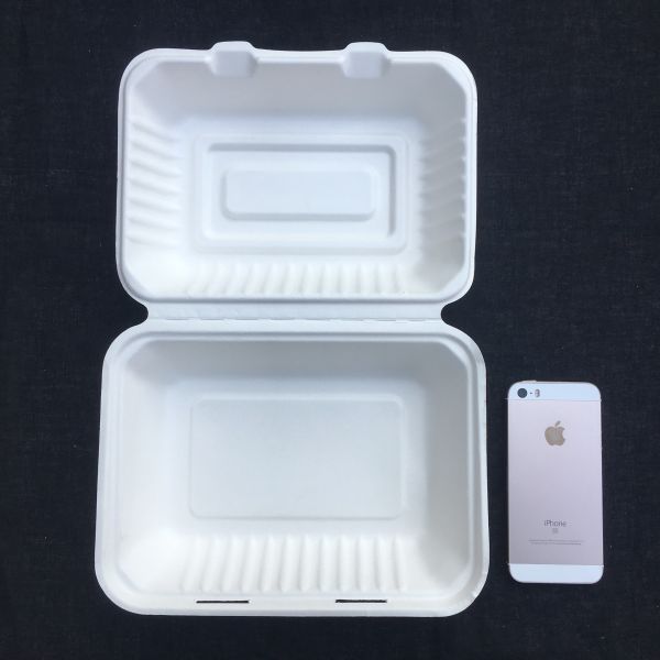 China Rectangle Biodegradable 600ml Disposable Bento Lunch Box Sugarcane Pulp factory