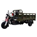 DAYANG Motorized Tricycle Cargo Tricycle Three Wheel Motorcycle with 12V Battery