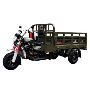 China DAYANG Motorized Tricycle Cargo Tricycle Three Wheel Motorcycle with 12V Battery System factory