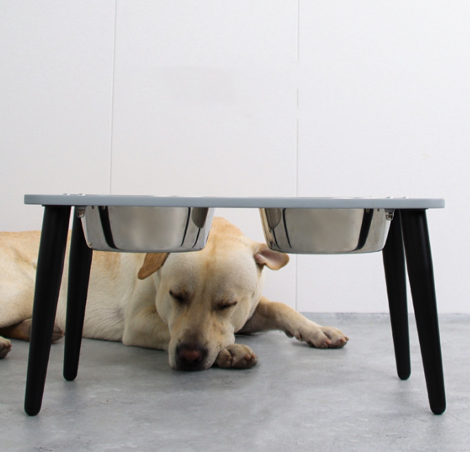 Collapsible Double Dog Bowl Elevated Adjustable Raised Stainless Steel