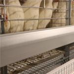 4 tiers 8 doors Automatic Layer Chicken Cage For Layers Q235 Steel Wire