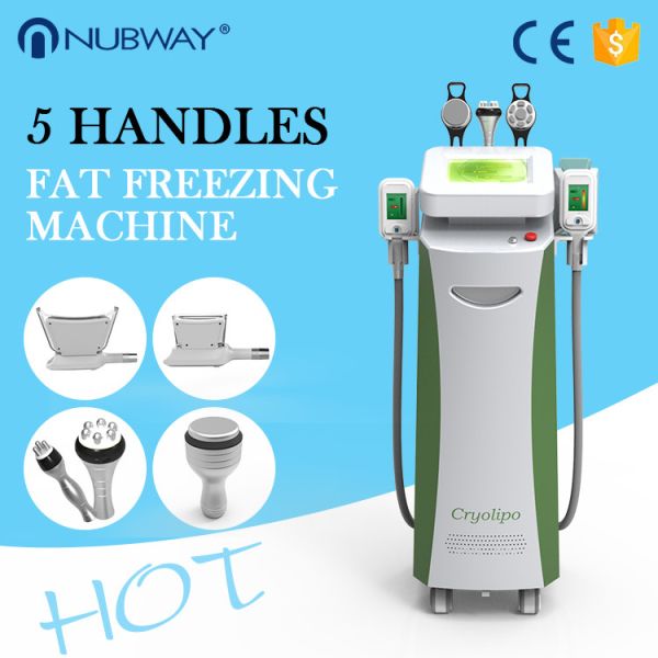 China 2014 Freezing fat cryolipolysis machine factory