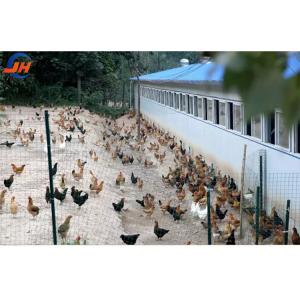 China Q235B/Q345B Low Carbon Steel Steel Structure Chicken Coop Prefabricated Chicken Houses factory