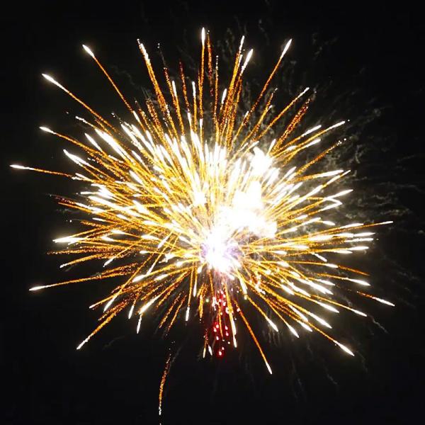 Chinese Factory Wholesale 100 Shots Cake Fireworks Pyrotechnics With Great