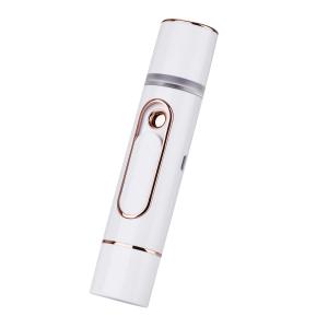 China Electronic Facial Nano Spray Under Eye Massager Beauty Tools White factory