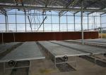 Large Space Double Glazed Greenhouse , Venlo Type Tomato Plant Greenhouse
