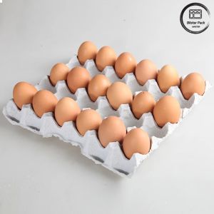 30 Hole Biodegradable Recycled Paper Egg Tray , Customizable Reusable Egg