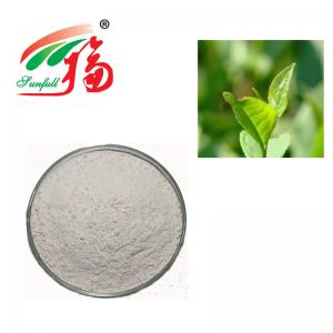 China Green Tea Extract 90% (-) - Epicatechin (EC) CAS 490-46-0 For Muscle Builder on sale