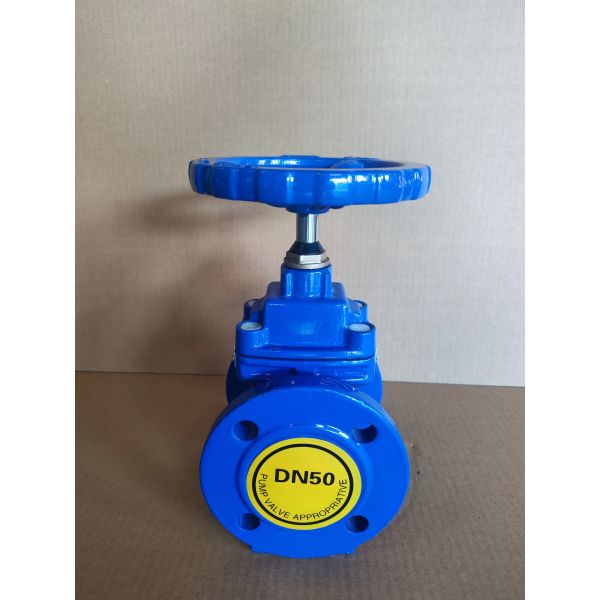 China Customized Ductile Iron Flanged Soft Seal Pn16 Gate Valve with Manual Operated Function factory