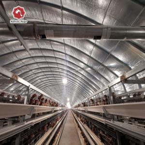 China Hot Dip Galvanized H Type Automatic Layer Chicken Cage System factory