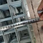 Stainless Steel Hot Dipped Galvanised Weld Mesh Fence Panels 6 Gauge 2x2
