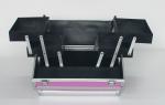 Rose Red Aluminium Beauty Case with Striped ABS Panel
