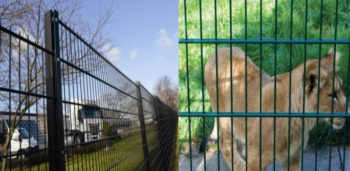 Pvc 545 Twin Wire Fence Horizontal Welded Panels For Security