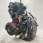 DAYANG Motorcycle Engine Cargo Tricycle Spare Parts with 300cc Water-Cooled