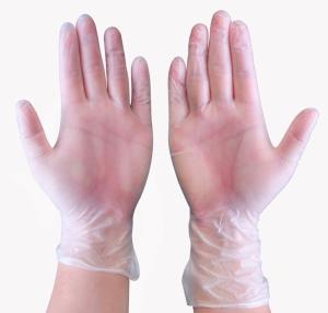 China Disposable Clear Powder Free PVC Gloves 100pcs / Box Vinyl Gloves   factory