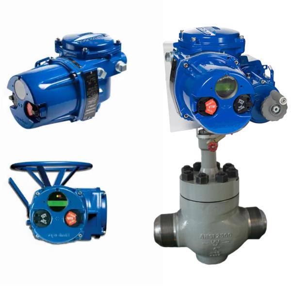 Chinese Electric Air Pressure Flow Control Valve Factory Customized Flowserve