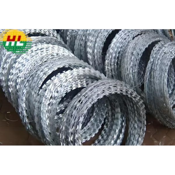 China 600mm Hot Dip Galvanized Razor Barbed Wire Protective Netting factory