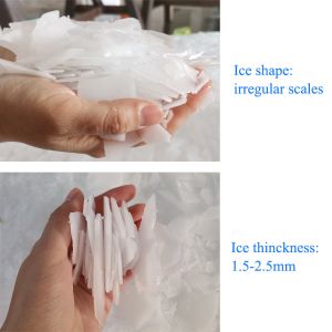 10t/24h Freshwater Flake Ice Machine