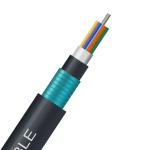 High Quality Under GR 24 48 96 144 Cores G652d Fibre Optique Cable GYFTY53