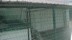 358 high-security fencing