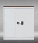 New design 2 Drawer steel office furniture file cabinet steel vertical password