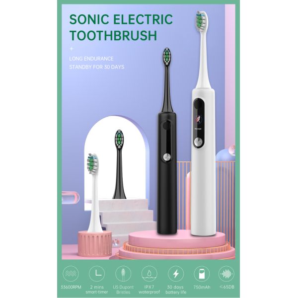 Baolijie SN-P1 Customized Logo Rechargeable Electric Toothbrush with 60 Days Runtime 33600RPM and 1 Year Warranty