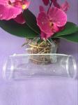 Clear Handle PVC Packing Bag , Plastic Toy Round PVC Gift Bags