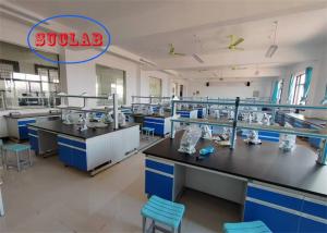 China Customizable Chemical Resistant Chemistry Laboratory Workbench Maximum Safety factory