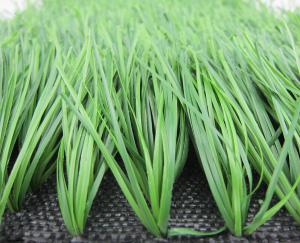 China Natural FIFA 2 Star Football Artificial Grass for International Football Match. factory
