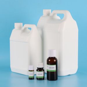 High Concentration Gi venchy Fragrance Essence Imitation Perfume For Women