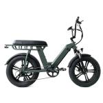 2 Wheel Electric Fat Tire Bike 48V 500W Aluminum Alloy 20 Inch Fat Tyre Electric