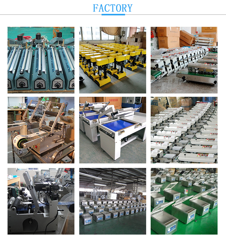 Automatic 1g To 200g Flour And Wash Powder Filling Machine Online Weighing And Pouch Packing For Food