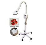 Professional dental laser teeth whitening machine with CE approved