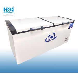 China Noise Level 45dB Deep Chest Freezer Mechanical Temperature Control Lowest Temperature Minus 18 Degrees and for Commercial on sale