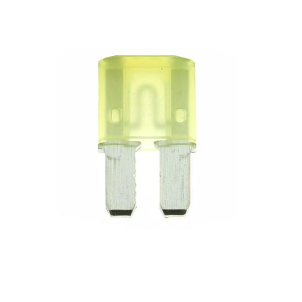 China 20A MICRO TWO BLADE FUSE MICRO2 12V 24V 20 AMP factory